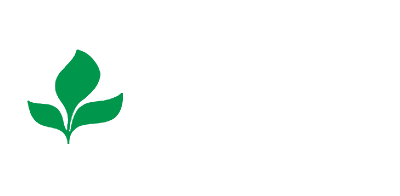 Stine